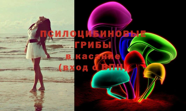 PSILOCYBIN Бугульма